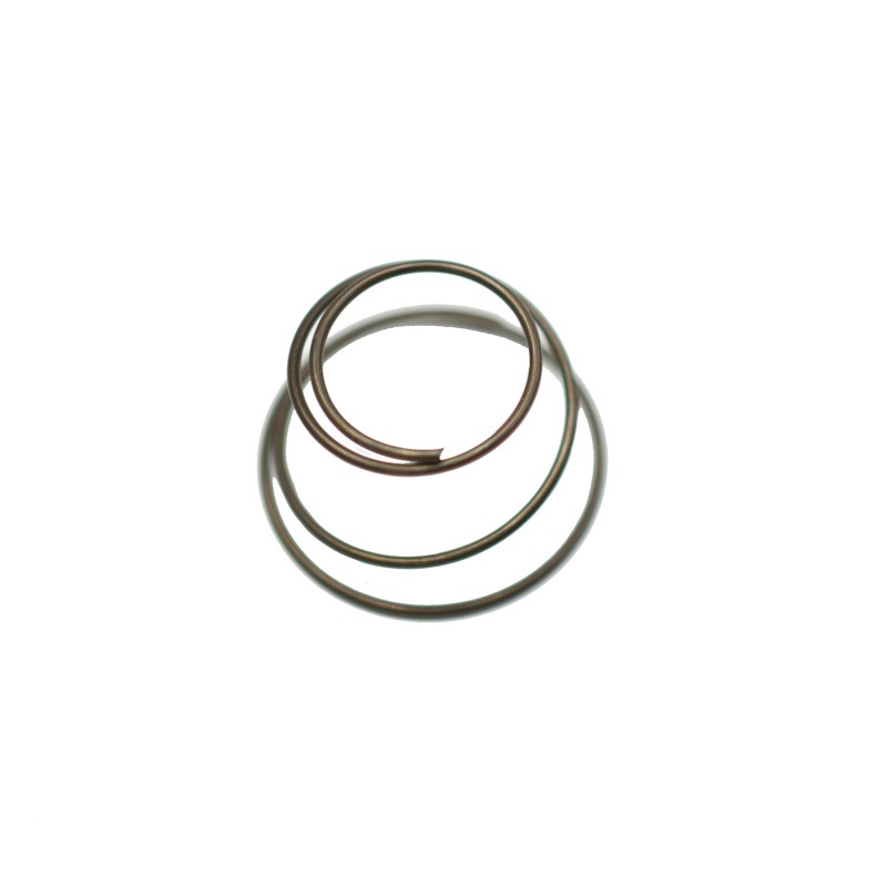 Kickstarter pinion spring