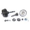 Getriebe Egig 250 - by Egig Performance