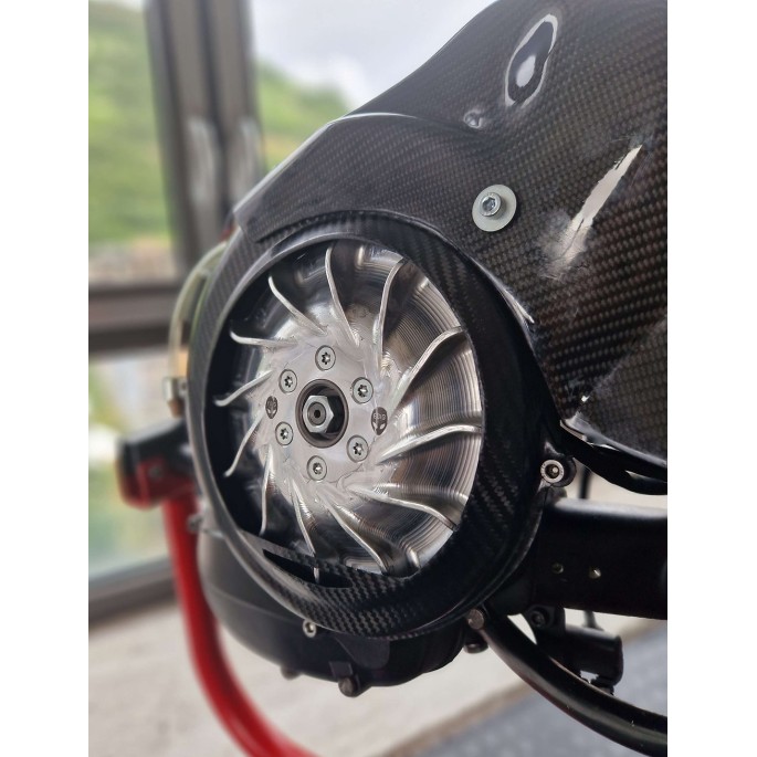 Coperchio ventola High Flow Carbon - by Egig Performance