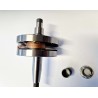Albero motore Egig S/R 51-97 - EGIG Performance